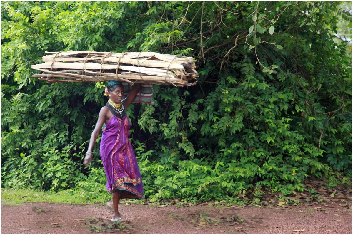 Halakki Vokkaliga woman carrying gathered material in Uttara Kannada
